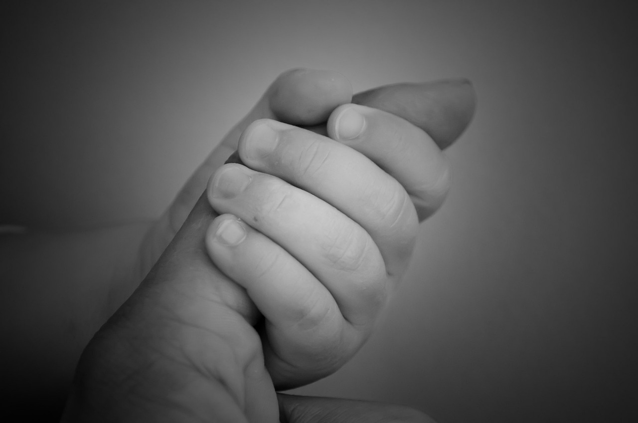 孕妇梦见孕妈供卵生的宝宝拉屎（孕妇梦见孕妈供卵生的宝宝拉屎在裤子里）
